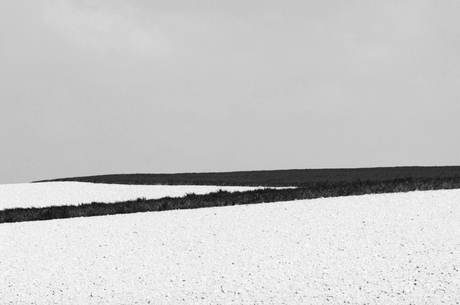 DSC_6002 copie